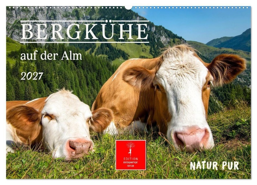 Bergkühe auf der Alm - Natur pur (Wandkalender 2027 DIN A2 quer), CALVENDO Monatskalender - Meike und Peter Roder