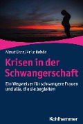 Krisen in der Schwangerschaft - Almut Dorn, Anke Rohde