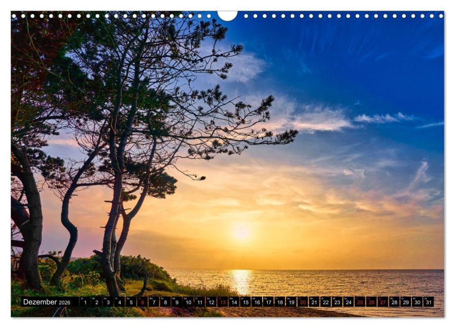 InsideView 4