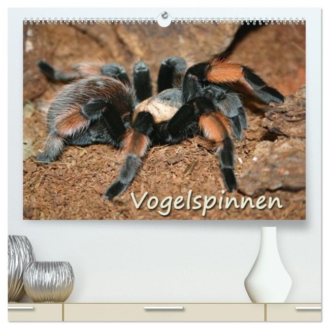 Vogelspinnen (hochwertiger Premium Wandkalender 2026 DIN A2 quer), Kunstdruck in Hochglanz - Barbara Mielewczyk