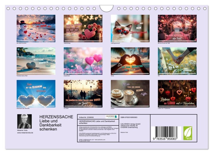 InsideView 5