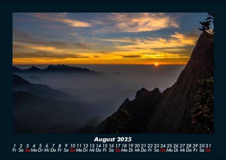 InsideView 12