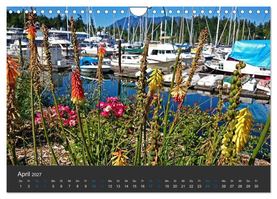 InsideView 9