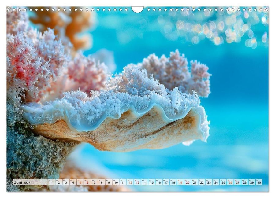 InsideView 11