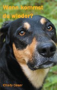 Cover-Bild zum Titel 'Wann kommst du wieder?' von 'Charly Cesar'