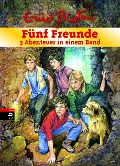 Fünf Freunde - 3 Abenteuer in einem Band - Enid Blyton