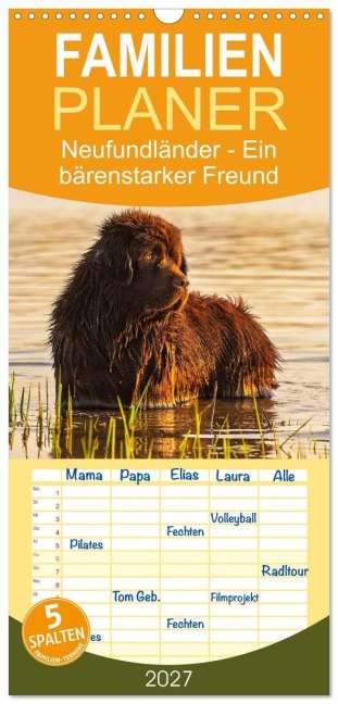 Familienplaner 2027 - Neufundländer - Ein bärenstarker Freund mit 5 Spalten (Wandkalender, 21 x 45 cm) CALVENDO - Sigrid Starick
