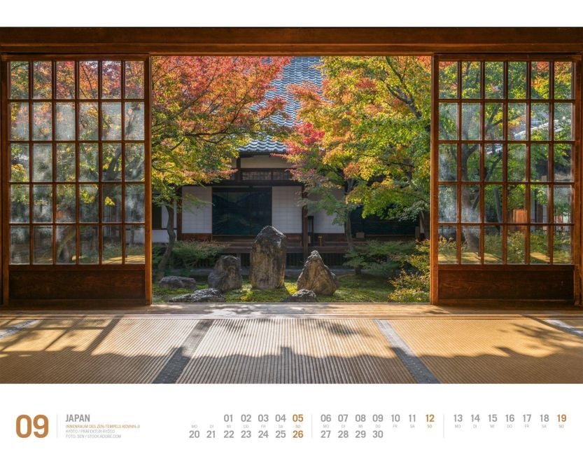 InsideView 9