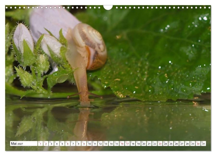 InsideView 10