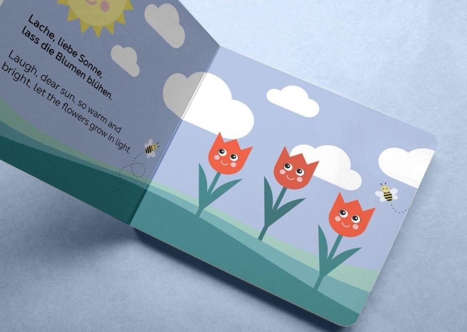 InsideView 1
