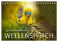 Wunderschöner Wellensittich (Tischkalender 2024 DIN A5 quer), CALVENDO Monatskalender - Peter Roder