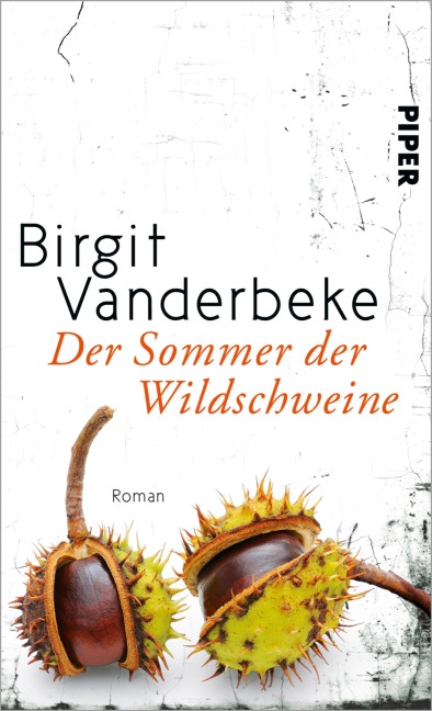 Der Sommer der Wildschweine - Birgit Vanderbeke