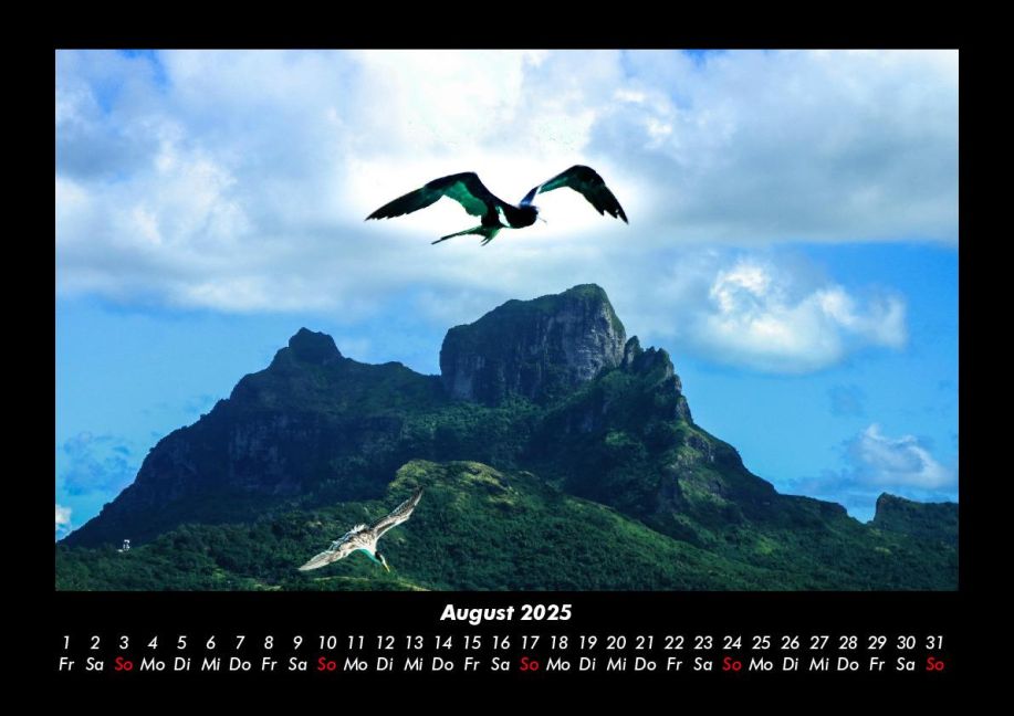 InsideView 12