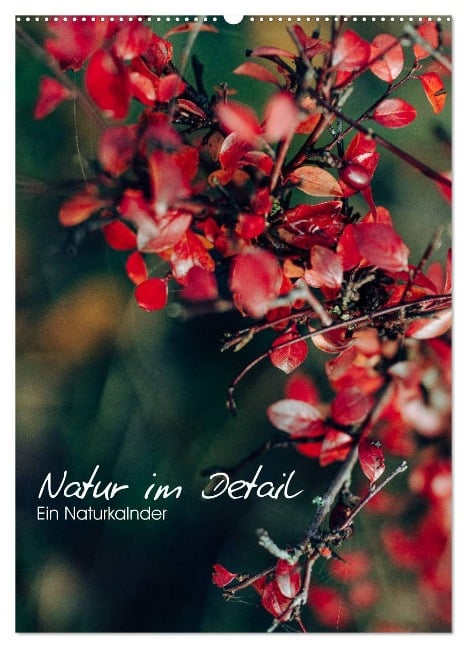 Kalender - Natur im Detail (Wandkalender 2025 DIN A2 hoch), CALVENDO Monatskalender - HIGHLIGHT. photo Maxi Sängerlaub