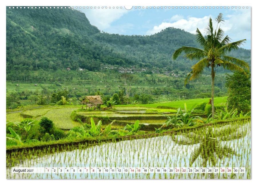 InsideView 13