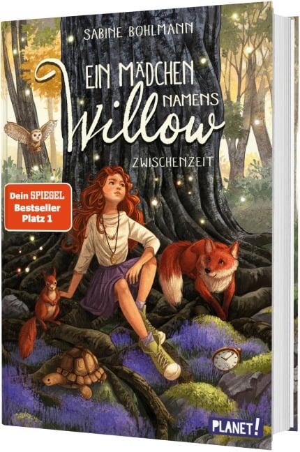 Ein Mädchen namens Willow 6: Zwischenzeit - Sabine Bohlmann
