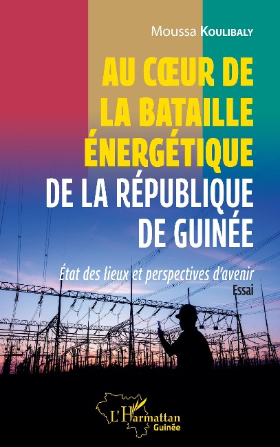 Au coeur de la bataille énergétique de la République de Guinée - Koulibaly