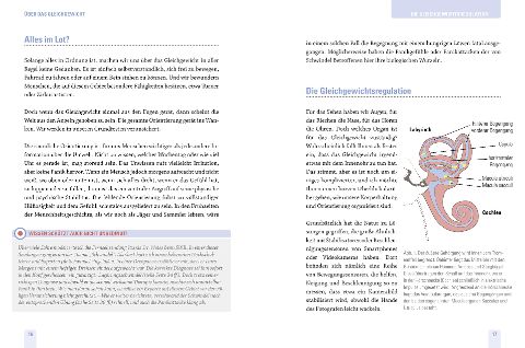 InsideView 1