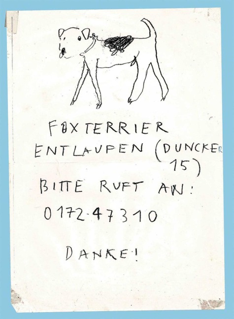 Please Look in the Basement - Maarten Inghels