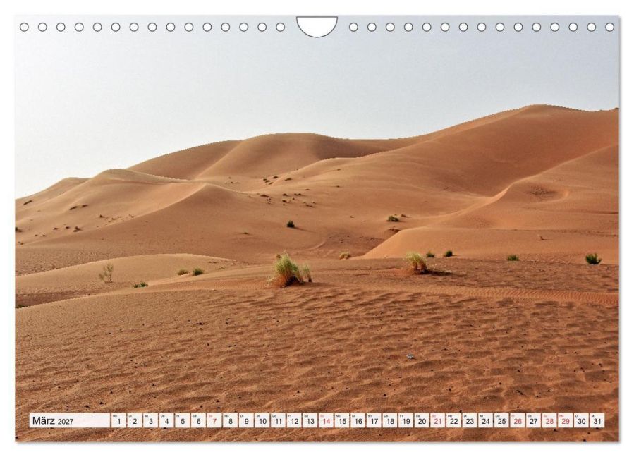 InsideView 8