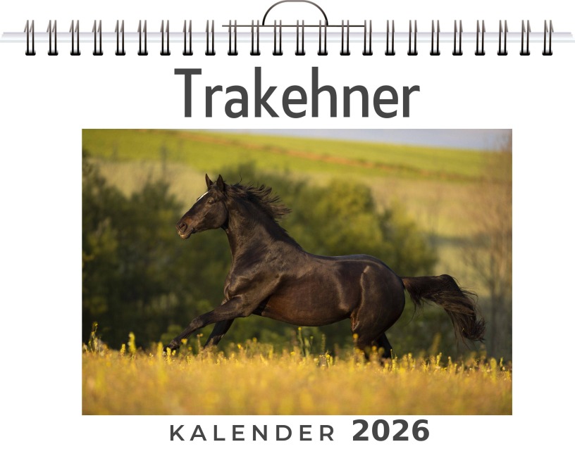 Trakehner - Louis Müller