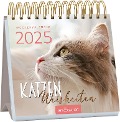 Mini-Wochenkalender Katzenweisheiten 2025 - 