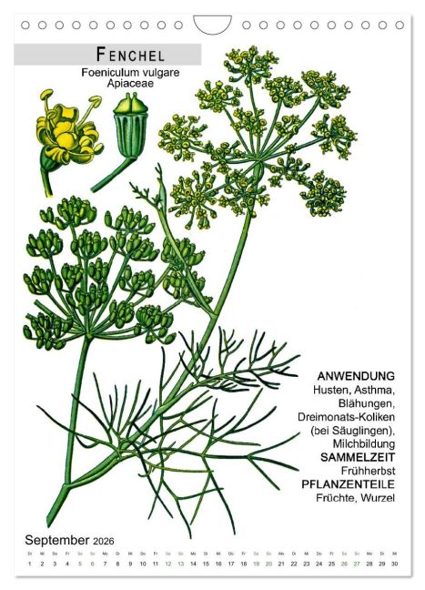 InsideView 14