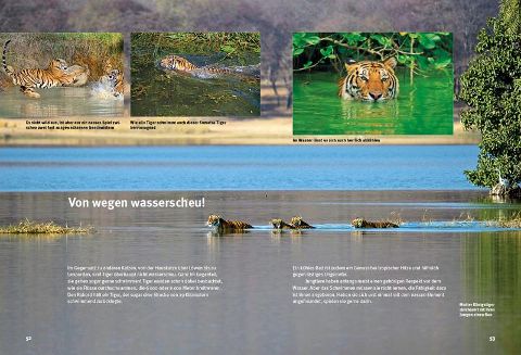 InsideView 3