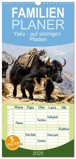 Familienplaner 2025 - Yaks - auf steinigen Pfaden mit 5 Spalten (Wandkalender, 21 x 45 cm) CALVENDO - Renate Utz