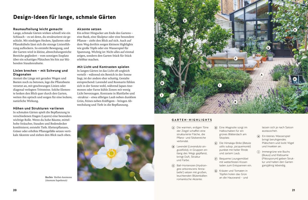InsideView 5