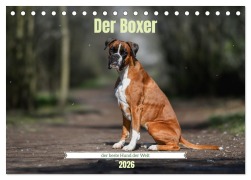 Cover-Bild zum Titel 'Der Boxer, der beste Hund der Welt (Tischkalender 2026 DIN A5 quer), CALVENDO Monatskalender' von 'Yvonne Janetzek'