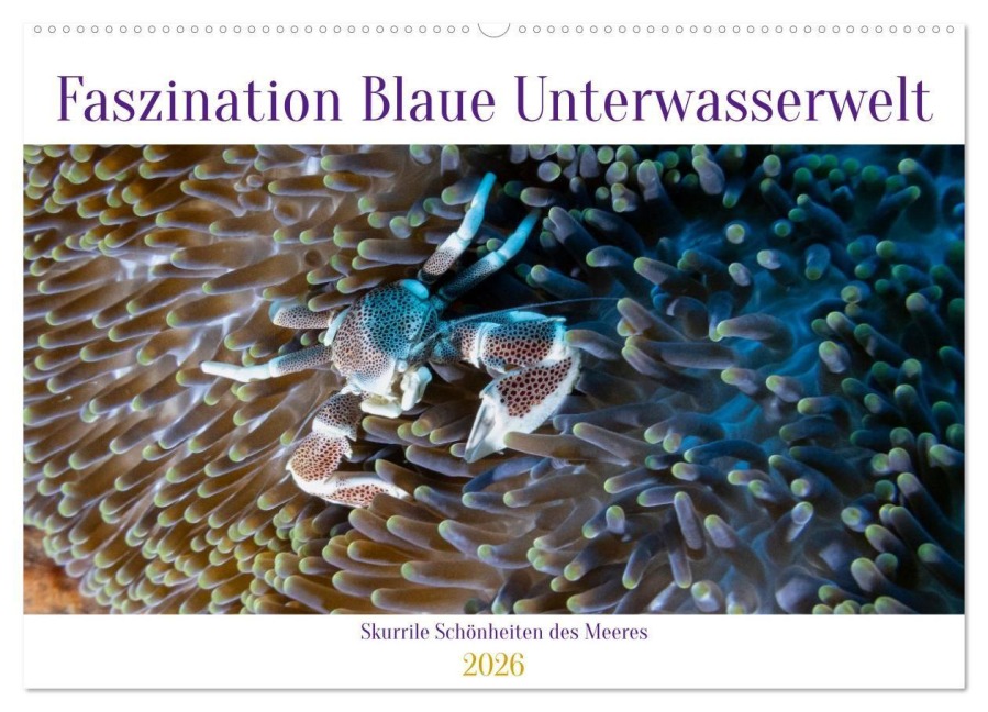Faszination blaue Unterwasserwelt (Wandkalender 2026 DIN A2 quer), CALVENDO Monatskalender - Peter Schulz