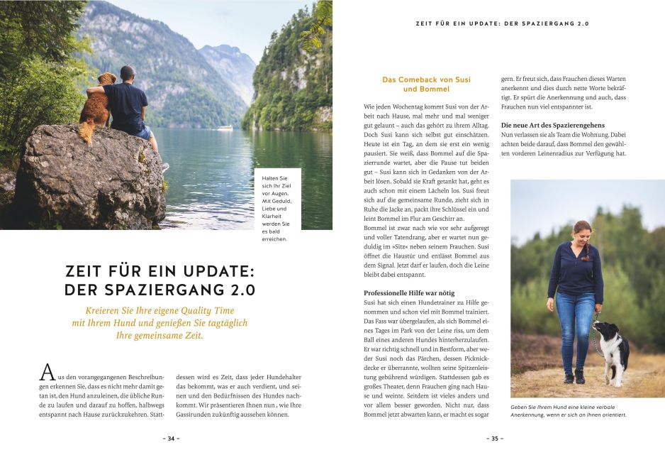 InsideView 5