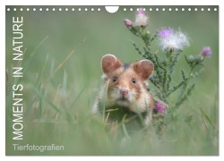 Cover-Bild zum Titel 'Moments in Nature (Wandkalender 2026 DIN A4 quer), CALVENDO Monatskalender' von 'Klaus Buchmann'