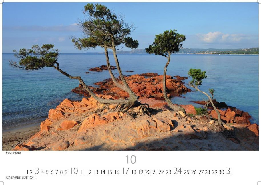 InsideView 10