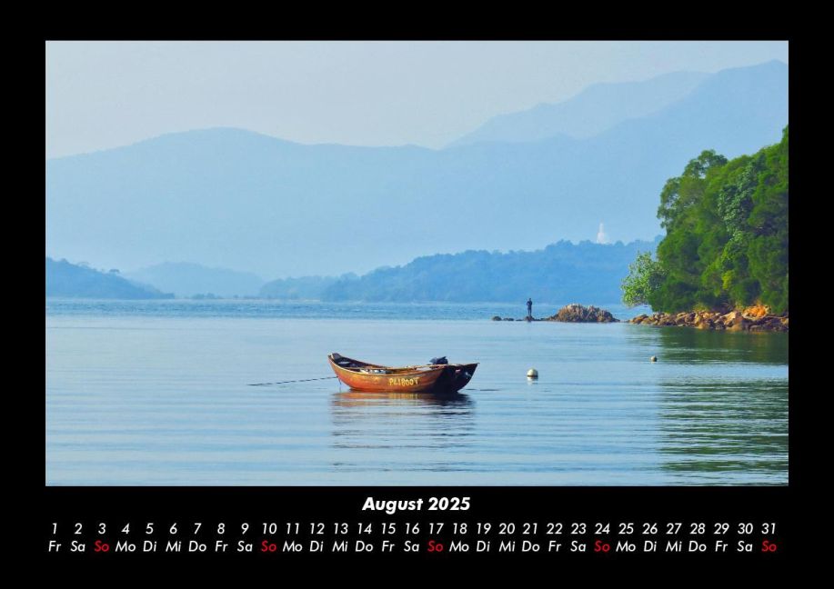 InsideView 12