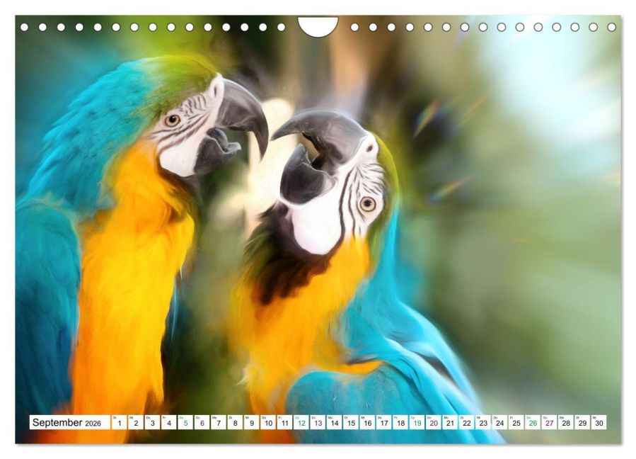InsideView 14
