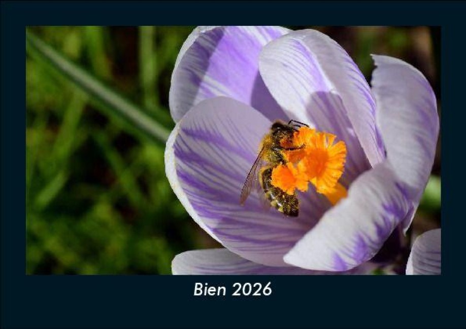 Bien 2026 Fotokalender DIN A5 - Tobias Becker