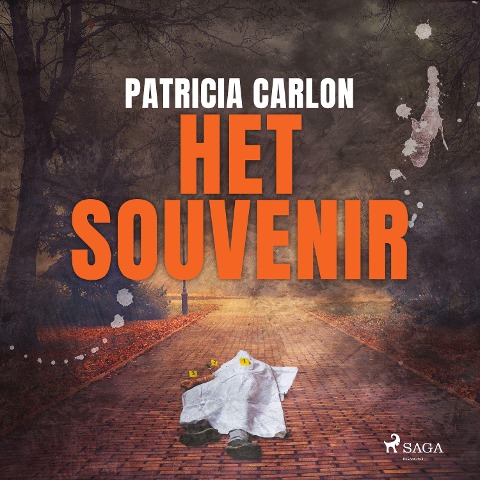 Het souvenir - Patricia Carlon