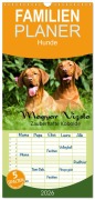 Cover-Bild zum Titel 'Familienplaner 2026 - Magyar Vizsla - Zauberhafte Kobolde mit 5 Spalten (Wandkalender, 21 x 45 cm) CALVENDO' von 'Kerstin Grüttner'