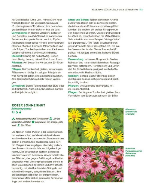 InsideView 12
