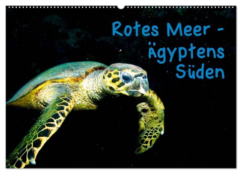 Rotes Meer - Ägyptens Süden (Wandkalender 2024 DIN A2 quer), CALVENDO Monatskalender - Christian Suttrop