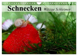 Schnecken. Witzige Schleimer (Wandkalender 2026 DIN A4 quer), CALVENDO Monatskalender - Elisabeth Stanzer
