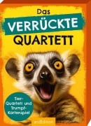 Cover-Bild zum Titel 'Das verrückte Quartett' von 'Julia Buck'