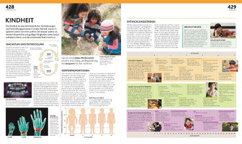 InsideView 7