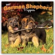 Cover-Bild zum Titel 'German Shepherd Puppies - Deutsche Schäferhund Welpen 2027 - 16-Monatskalender' von 'Browntrout Publishers'