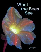 Cover-Bild zum Titel 'What the Bees See' von 'Craig P. Burrows'