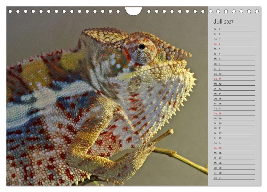 InsideView 12