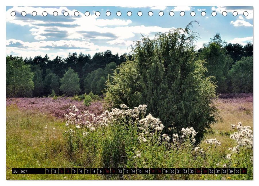 InsideView 12