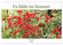 Cover-Bild zum Titel 'Es blüht im Sommer (Wandkalender 2026 DIN A2 quer), CALVENDO Monatskalender' von 'Gisela Kruse'